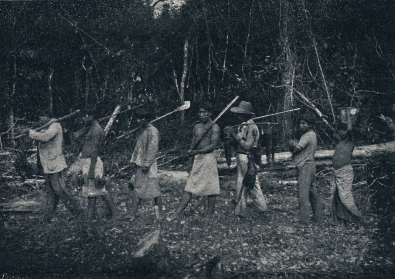 Indiáni z Guarany, Návrat z Caþady, 1895 od Francisco Henszler