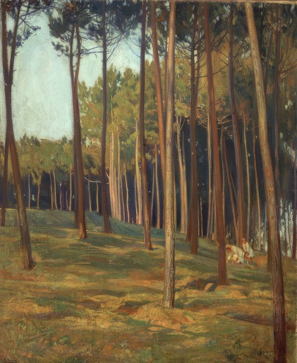 ČERVENÝ PINAR od Francisco Llorens Diaz