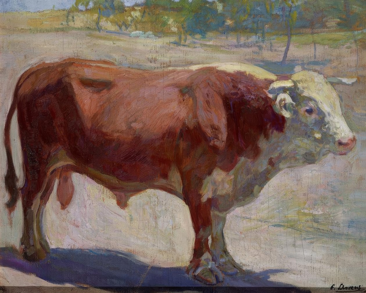 Býk Marelo od Francisco Llorens Diaz