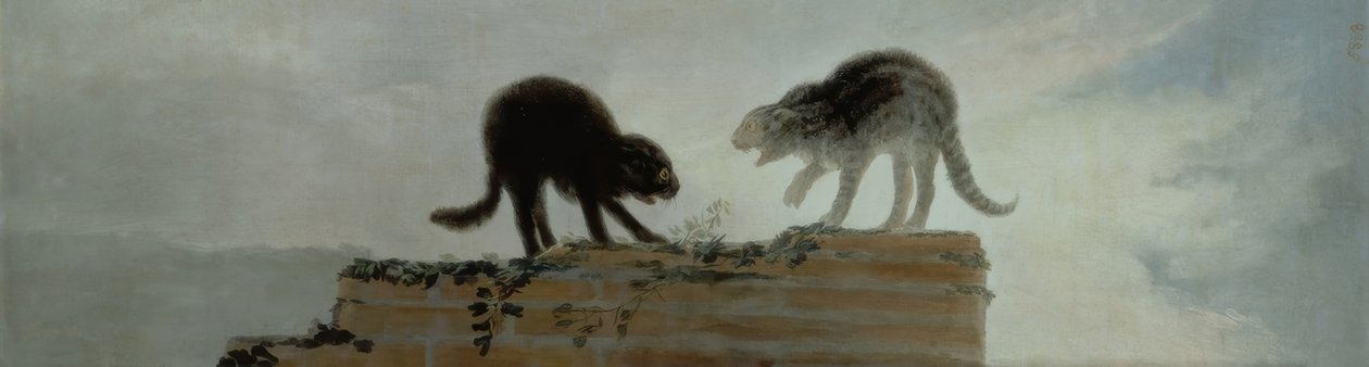 Kočky bojují od Francisco de Goya