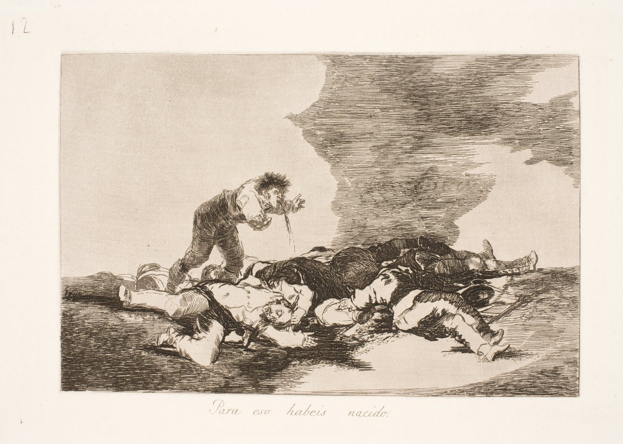 Narodili jsme se pro to (12) od Francisco de Goya