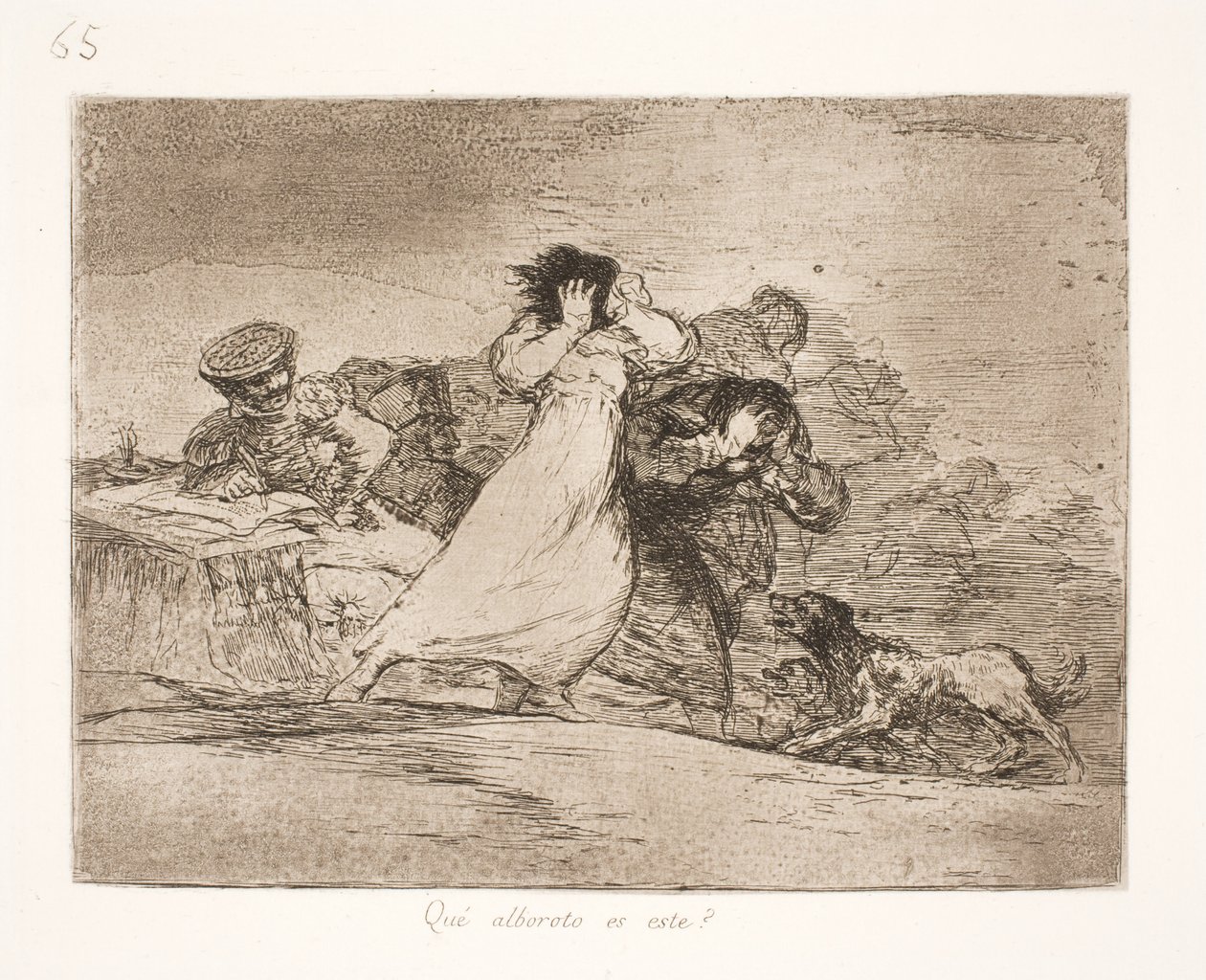 Co tento zmatek znamená? (65) od Francisco de Goya