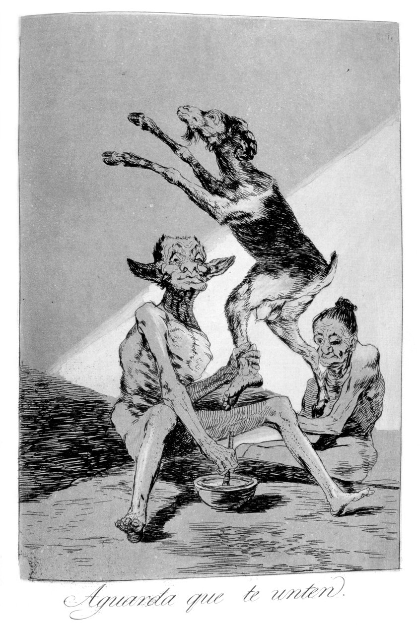 Počkejte, až budete pomazáni, 1799 od Francisco de Goya