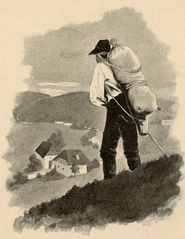V malinn od Francisek Dobnikar