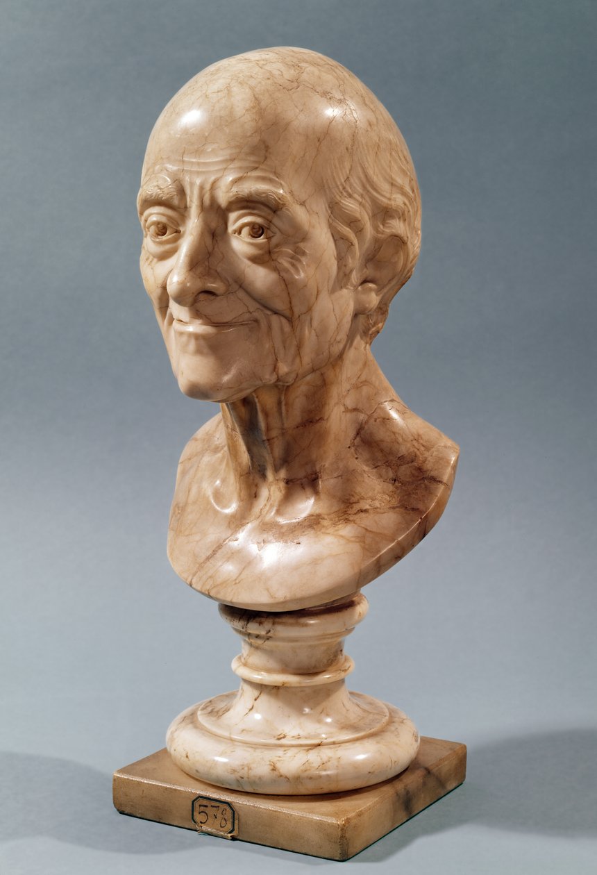 Busta Voltaira (1694-1778) (mramor) od Francois Marie Rosset
