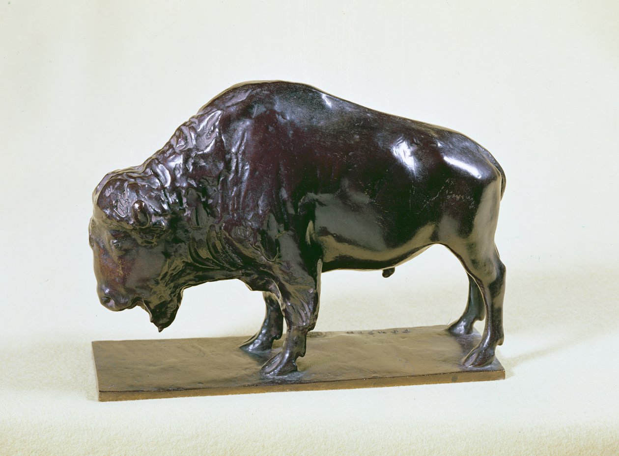 Zubr, 1907 (bronz) od Francois Pompon