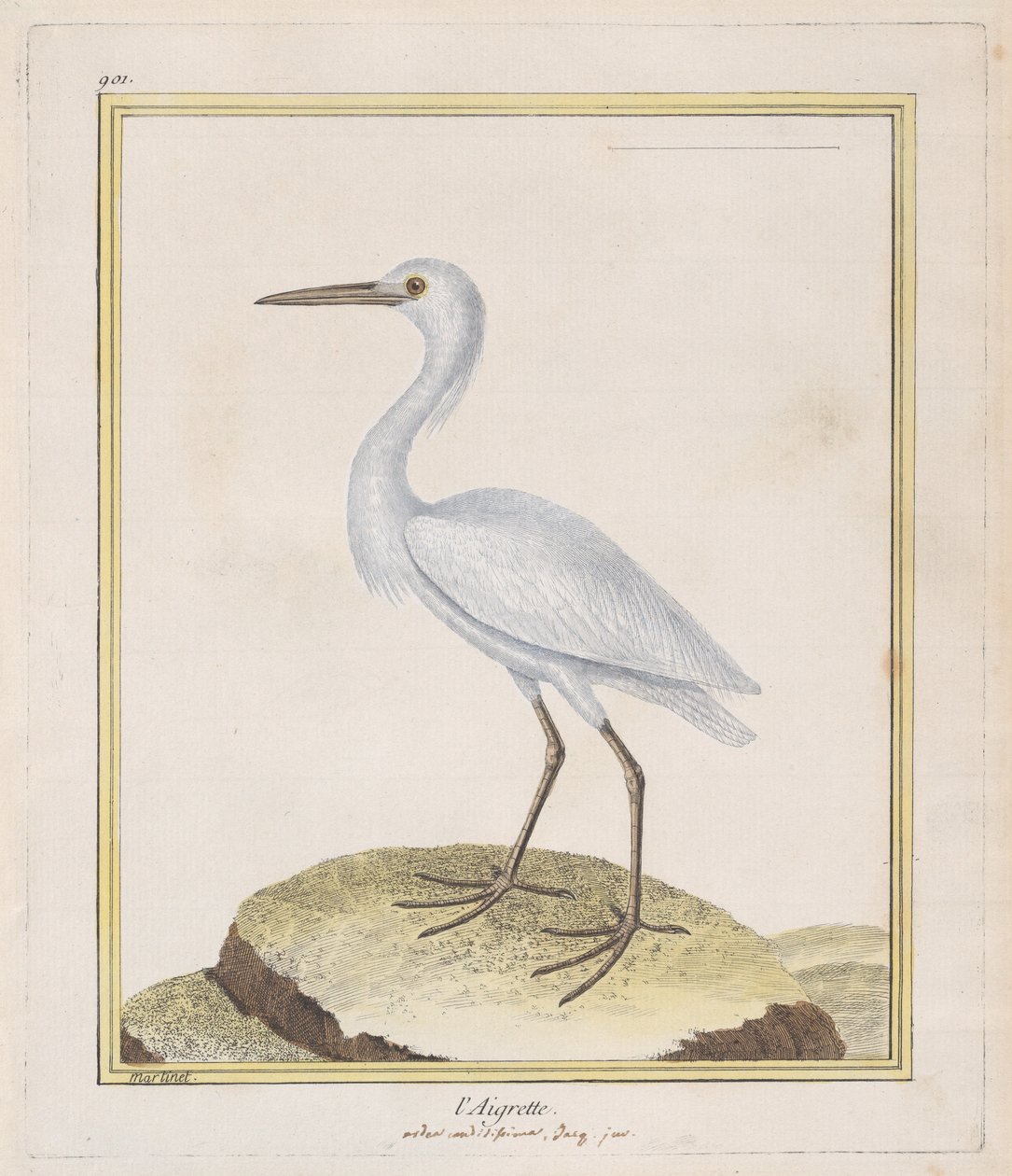Egret Egret, 1770-86. od Francois Nicolas Martinet