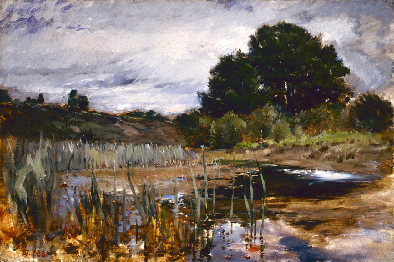 Volební krajina od Frank Duveneck