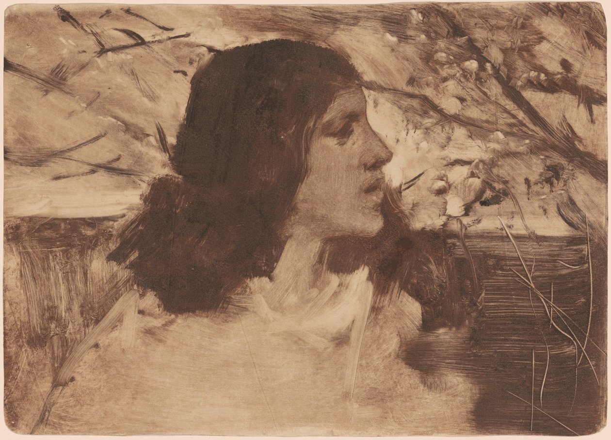 Hlava ženy od Frank Duveneck