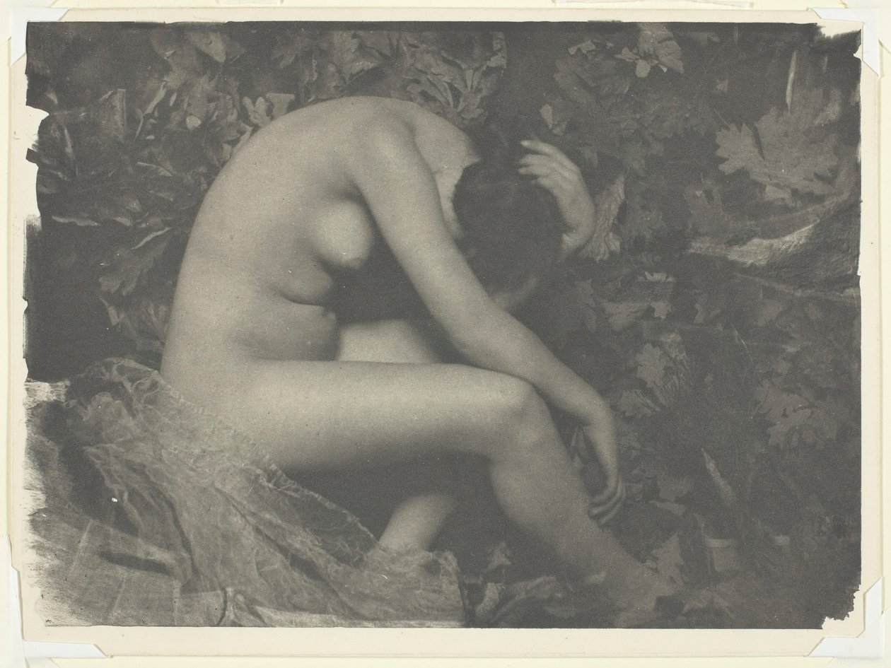 Cikáda, 1898. od Frank Eugene