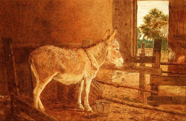 Hnědá studie od Frank Goodwin