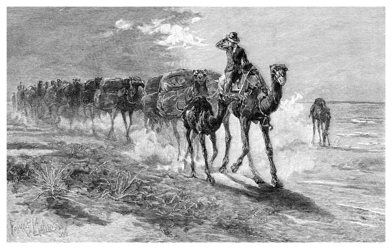 Velbloudi nesoucí vlnu, 1886. od Frank P. Mahony
