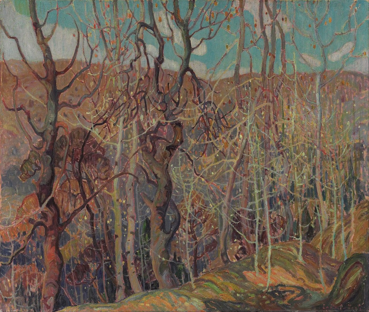Stříbřitý spleť od Franklin Carmichael