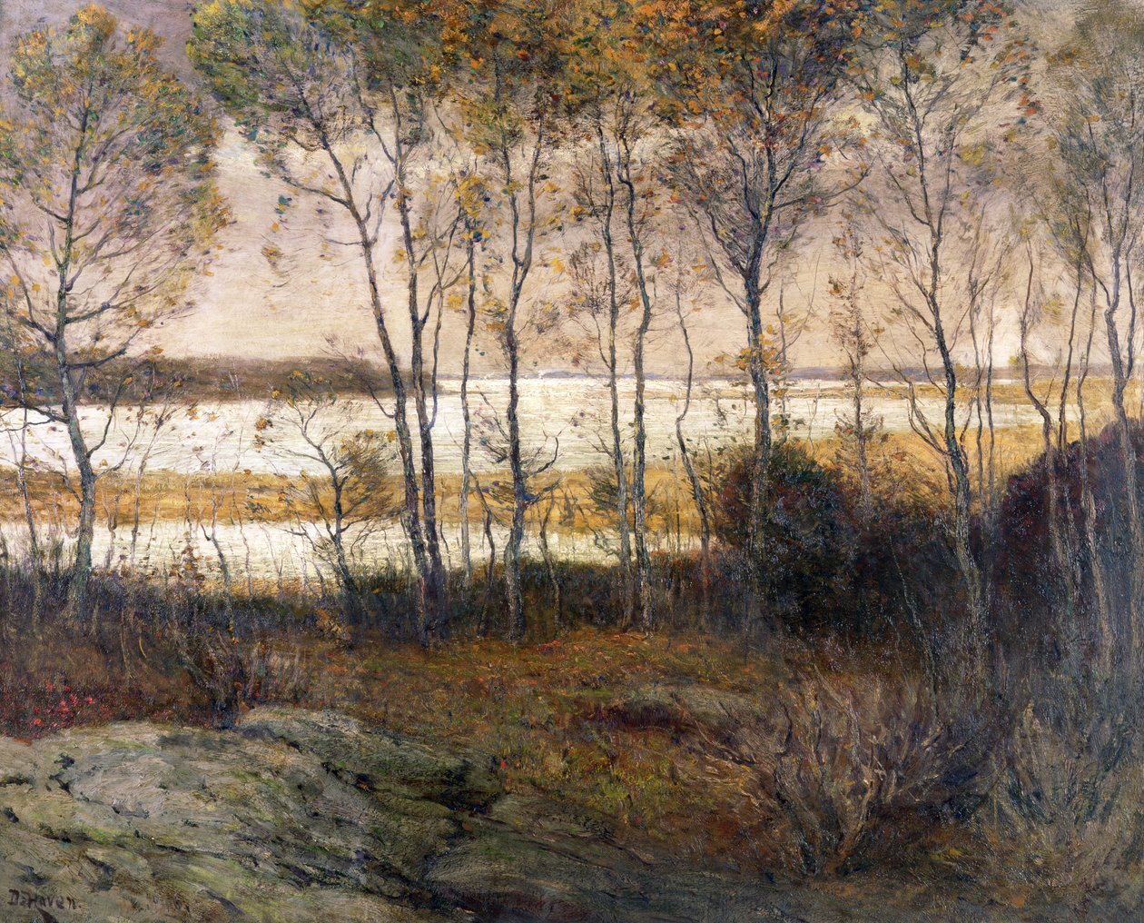 Stříbrné vody od Franklin De Haven