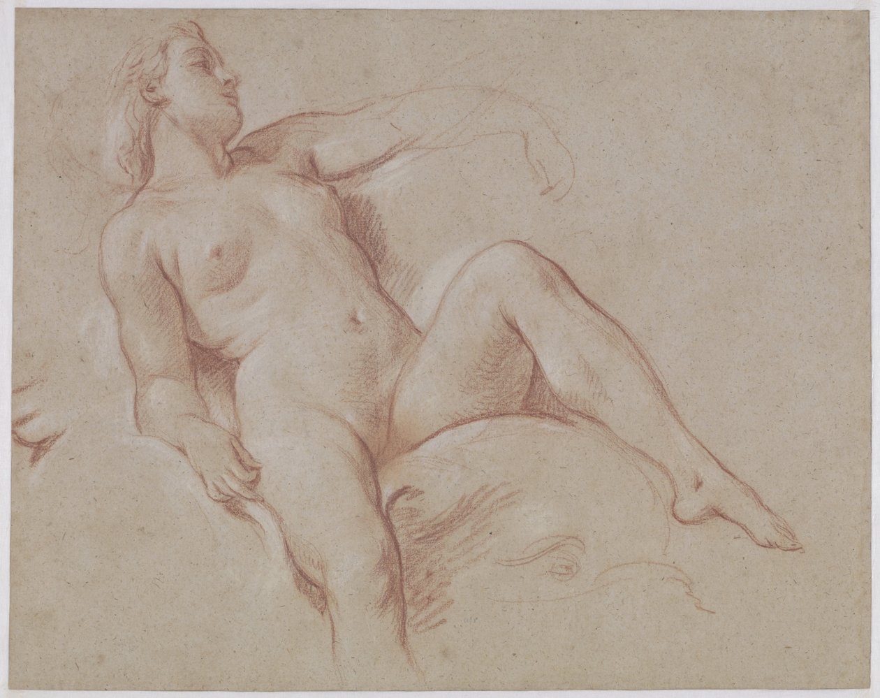 Ženská akt na delfína od François Boucher