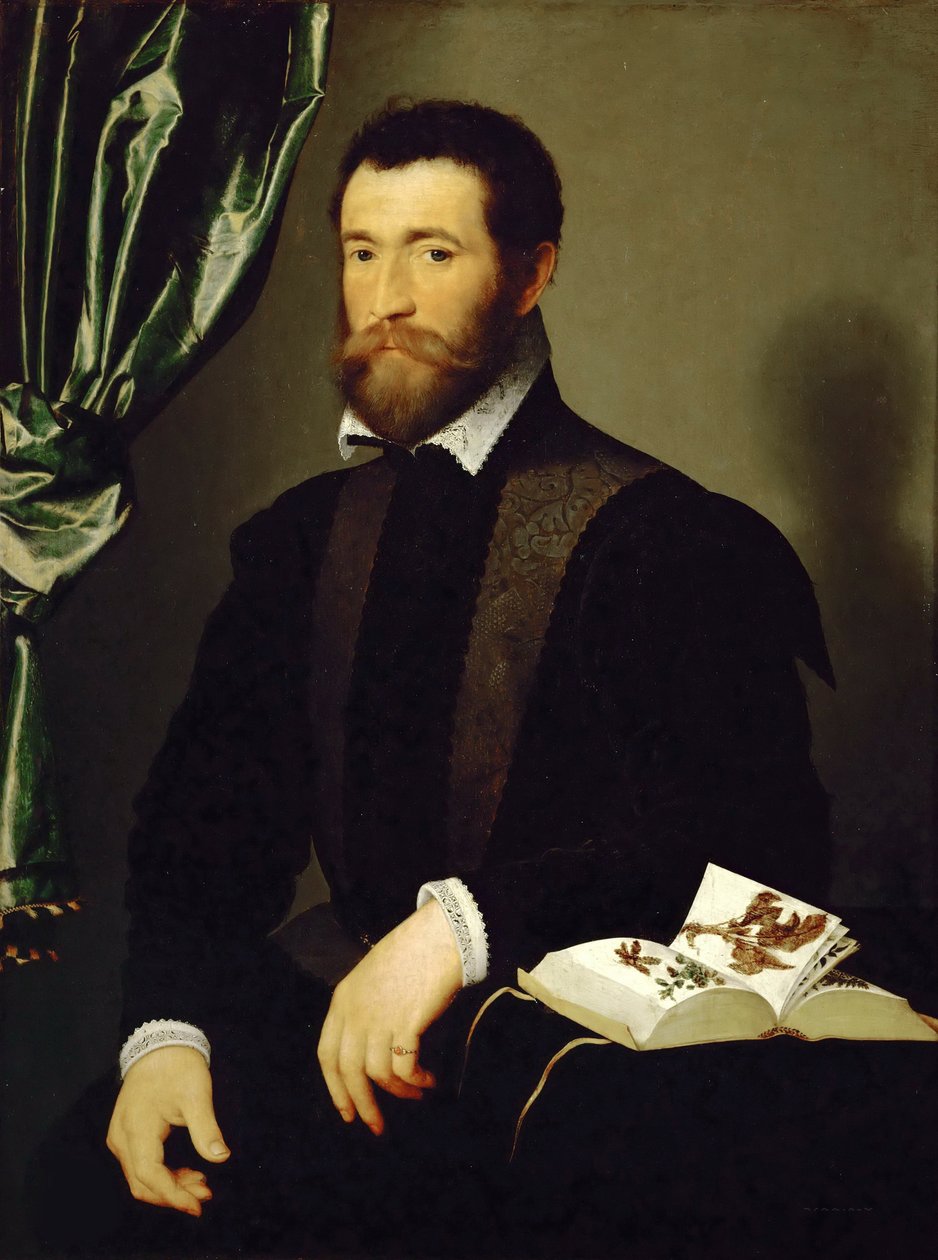 Portrét Pierre Quthe, lékárník, 1562. od François Clouet