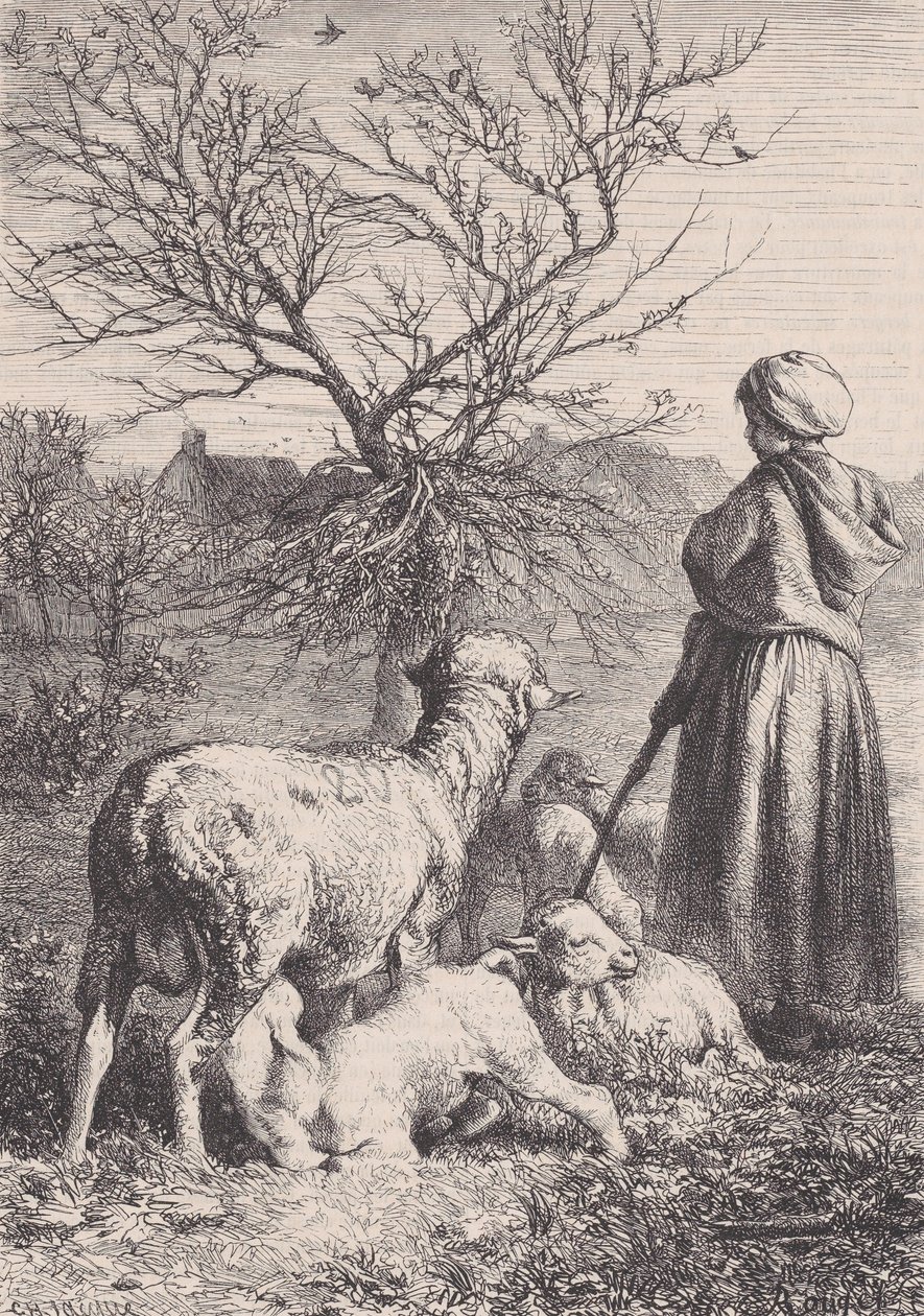 Pastýřka, ca. 1852. od François Rouget