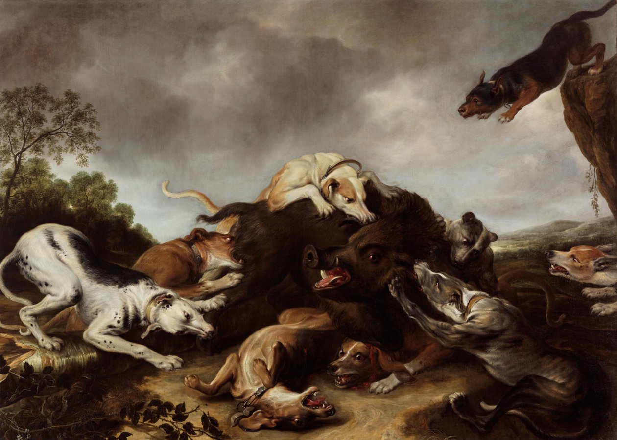 Lov kance od Frans Snyders or Snijders