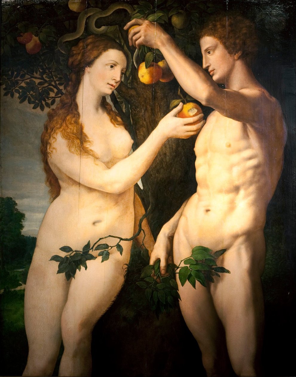 Pád člověka od Frans Floris I