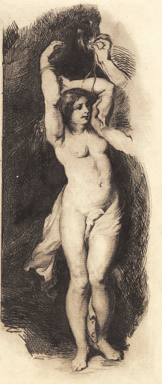 Andromeda, po Rubensovi od Frans Schwartz