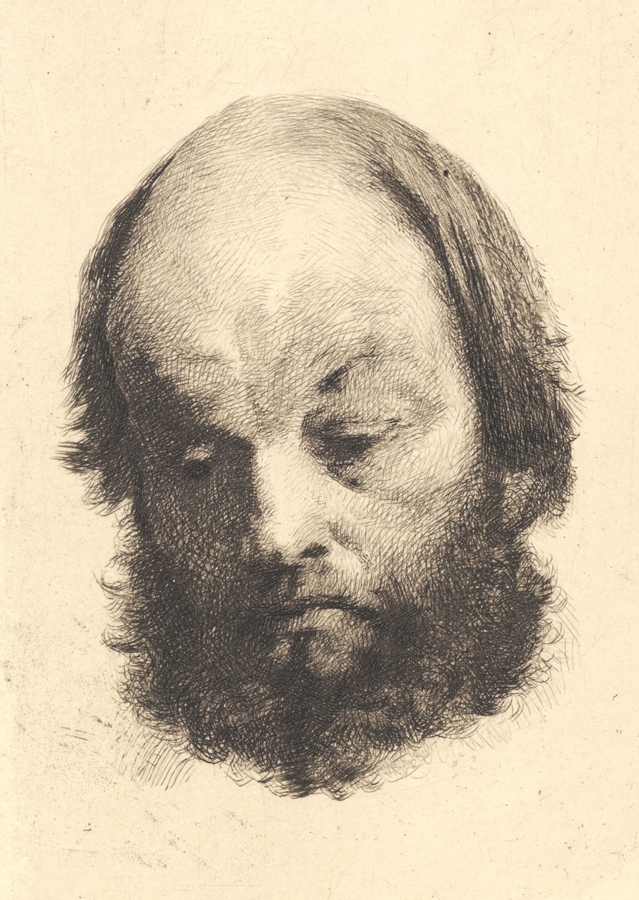 Černovous, Garibaldi od Frans Schwartz