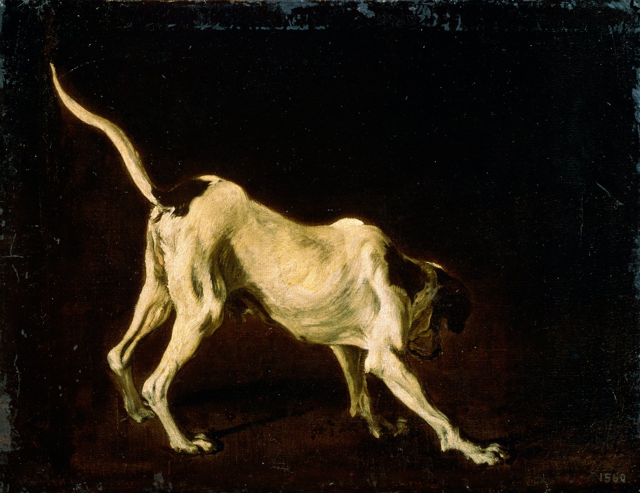 Pes, 17. století od Frans Snyders or Snijders