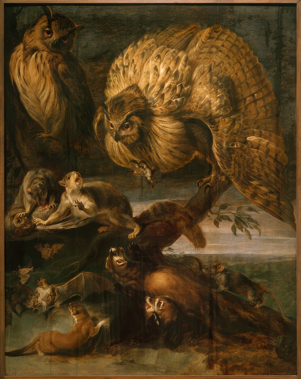 Zvířata noci od Frans Snyders