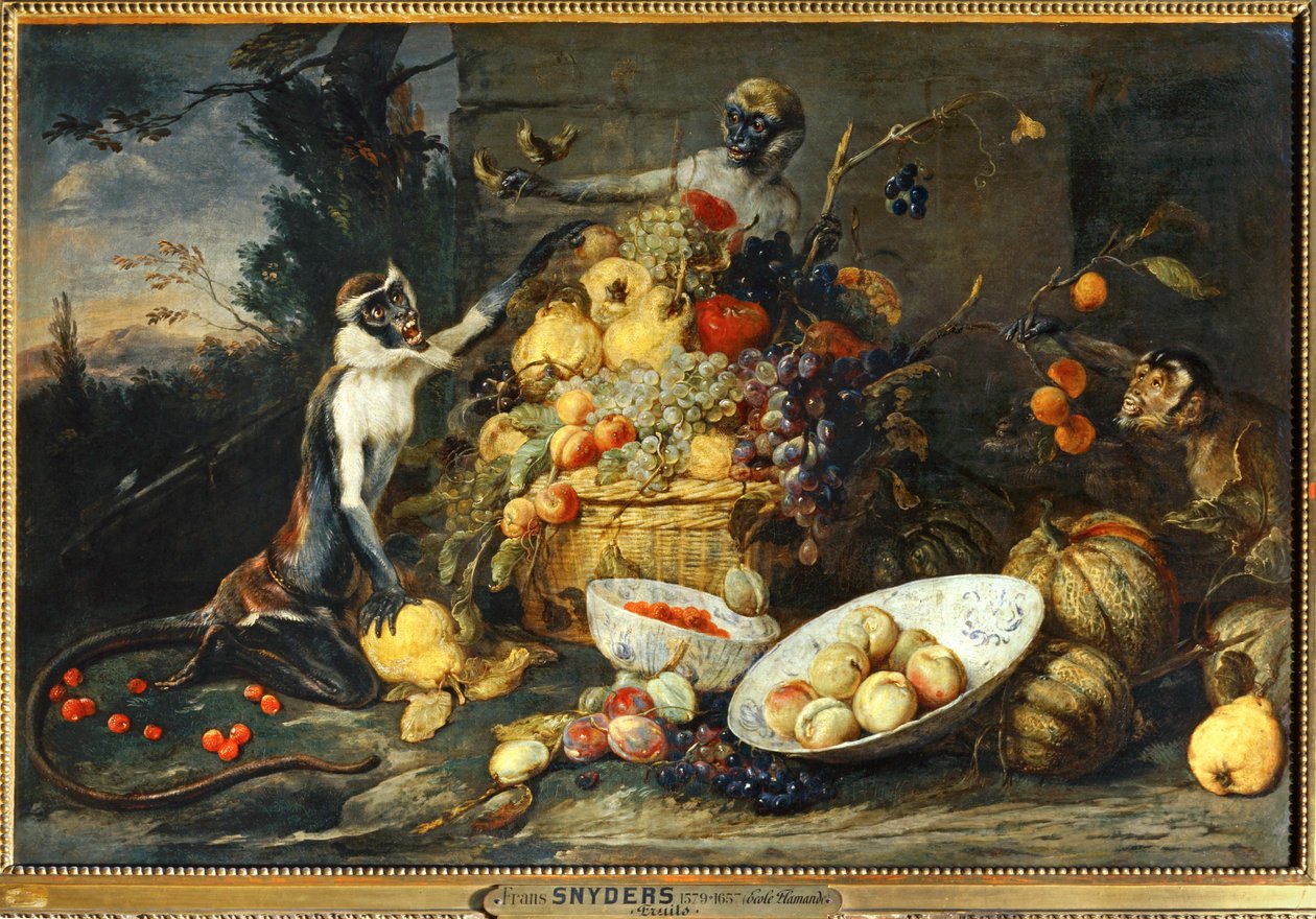 Tři opice, zloději ovoce... od Frans Snyders