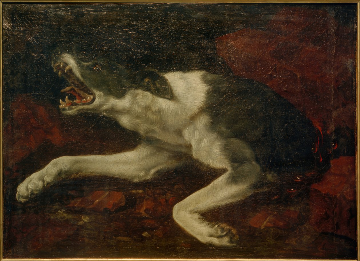 Zraněný pes od Frans Snyders or Snijders