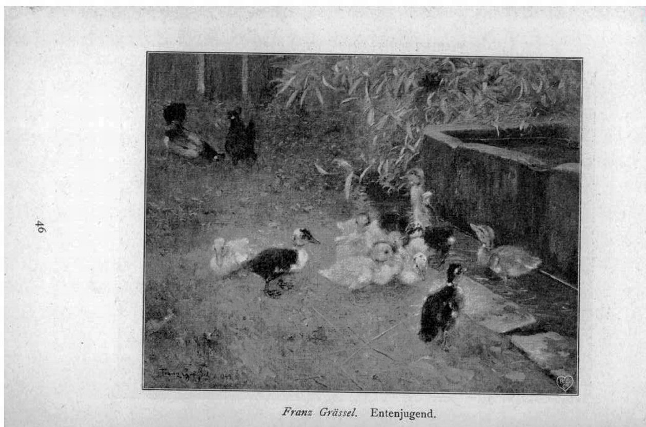 Entenjugend od Franz Grassel