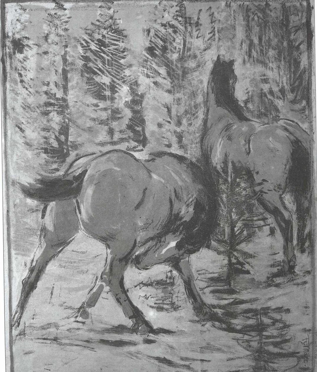 Koně ve vodě od Franz Marc