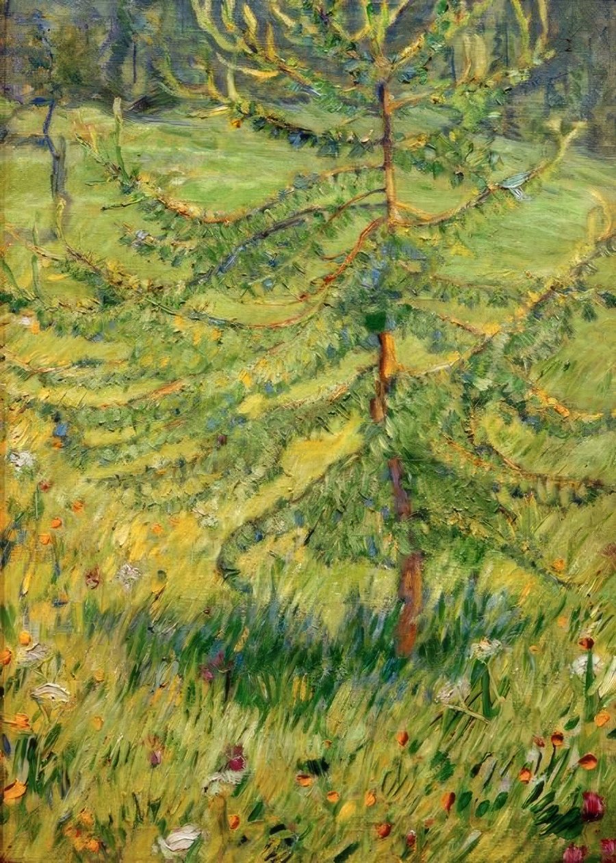 Mladý modřín na lesní louce od Franz Marc