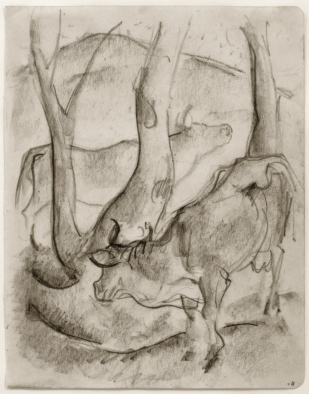 Dvě krávy pod stromy od Franz Marc