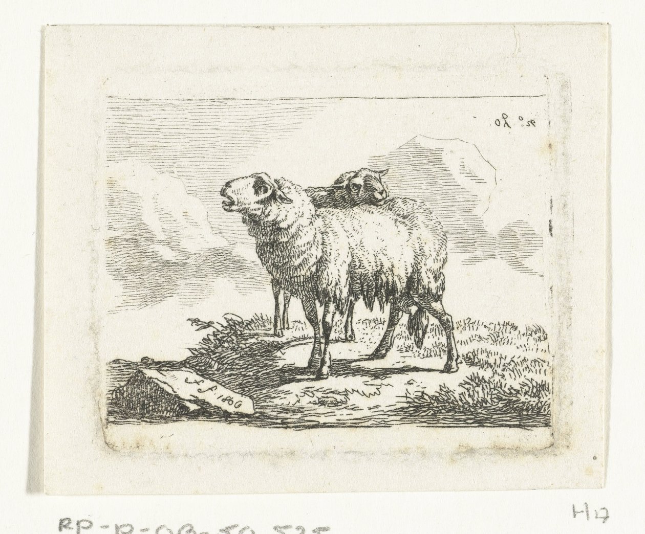Dvě stojící ovce od Frédéric Théodore Faber