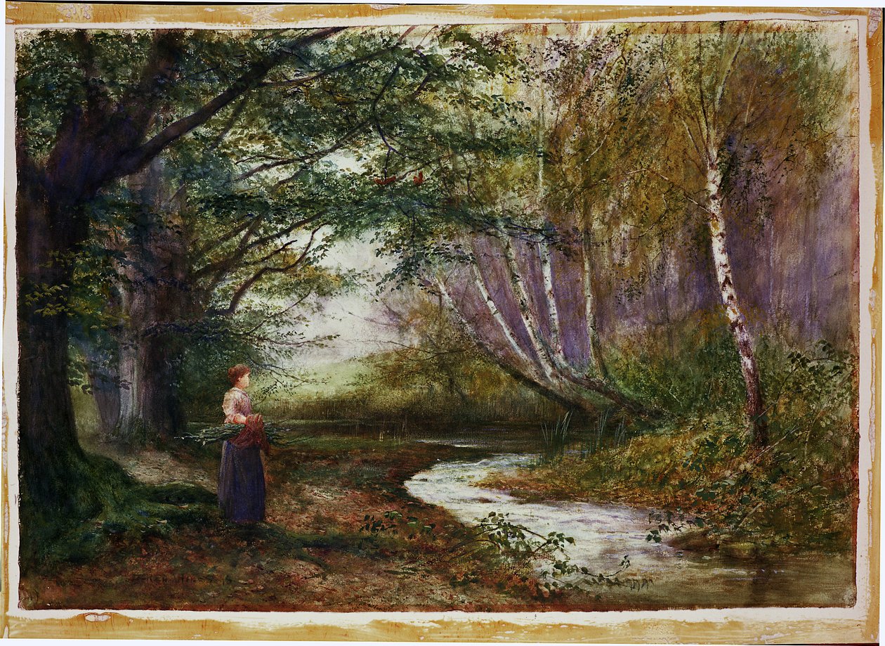 Burnham Beeches, podzim od Fred Hines