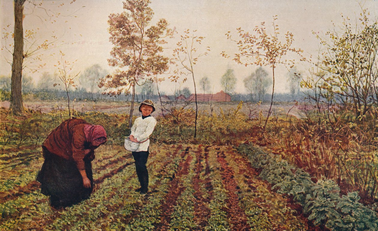 Fialové pole, 1867, c1915 od Fred Walker