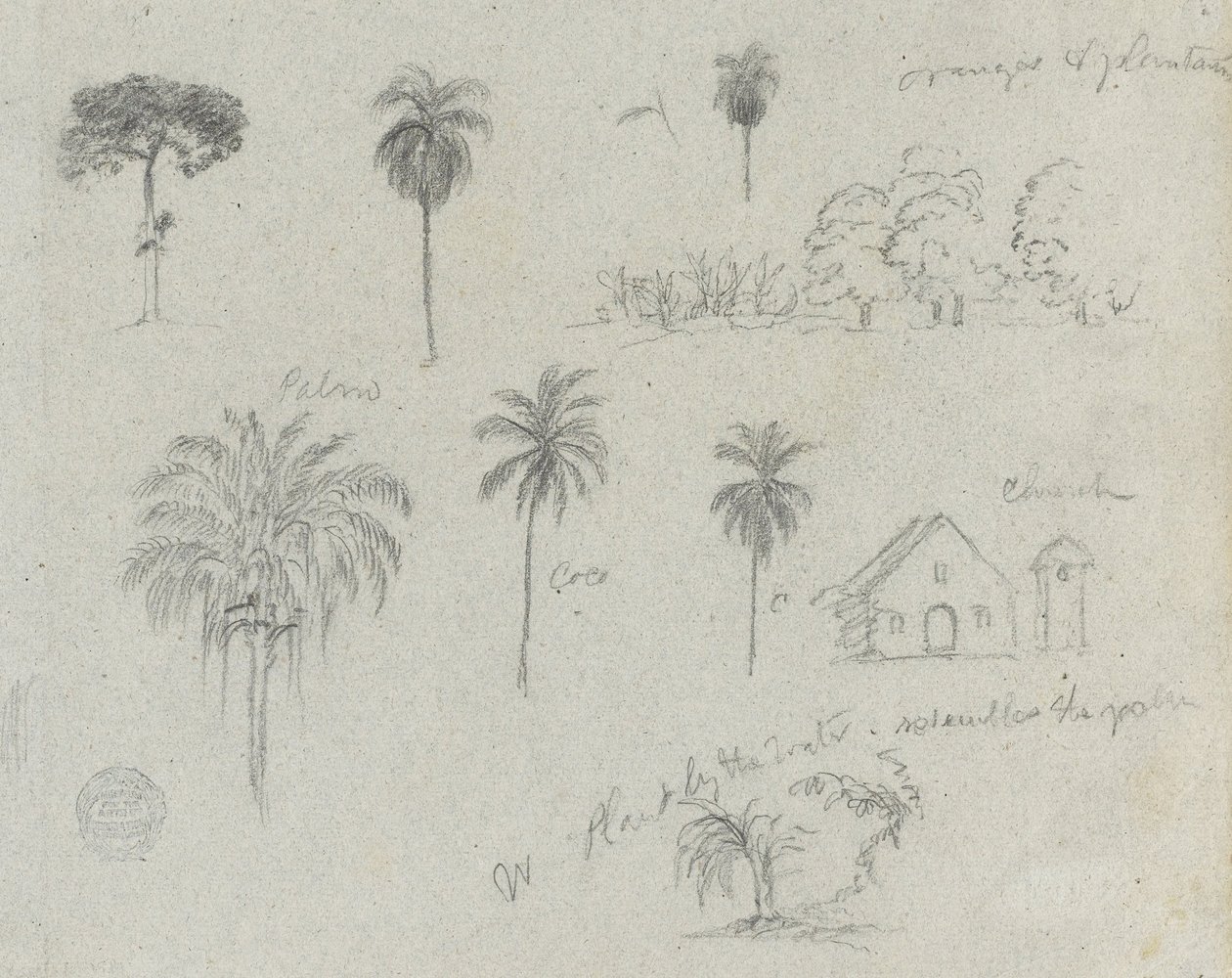 Skici z Rio Magdalena, Kolumbie. Botanické skici. Kostel. Podobné jako -103. od Frederic Edwin Church
