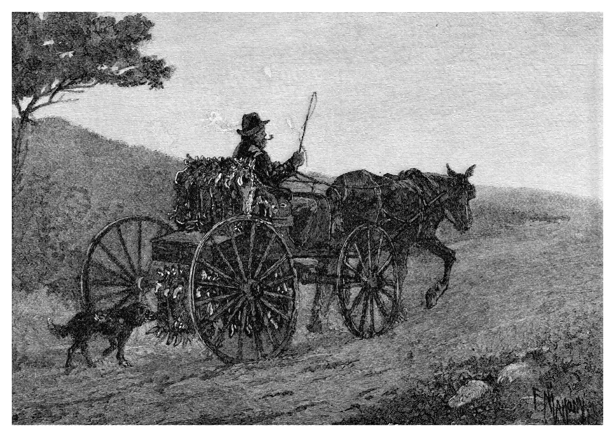 Colac Rabbit Trapper, 1886. od Frederic B. Schell