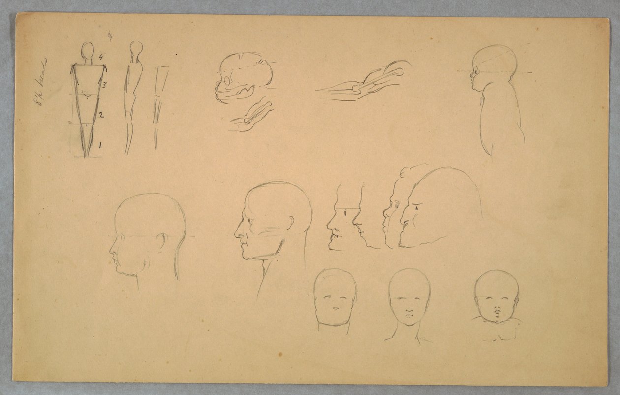 Anatomické studie od Frederic Edwin Church