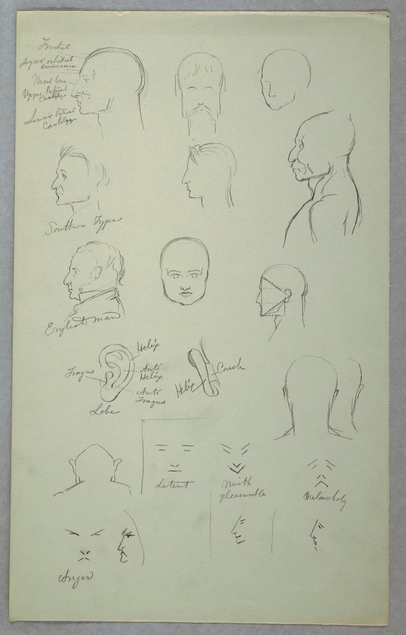 Anatomické studie od Frederic Edwin Church