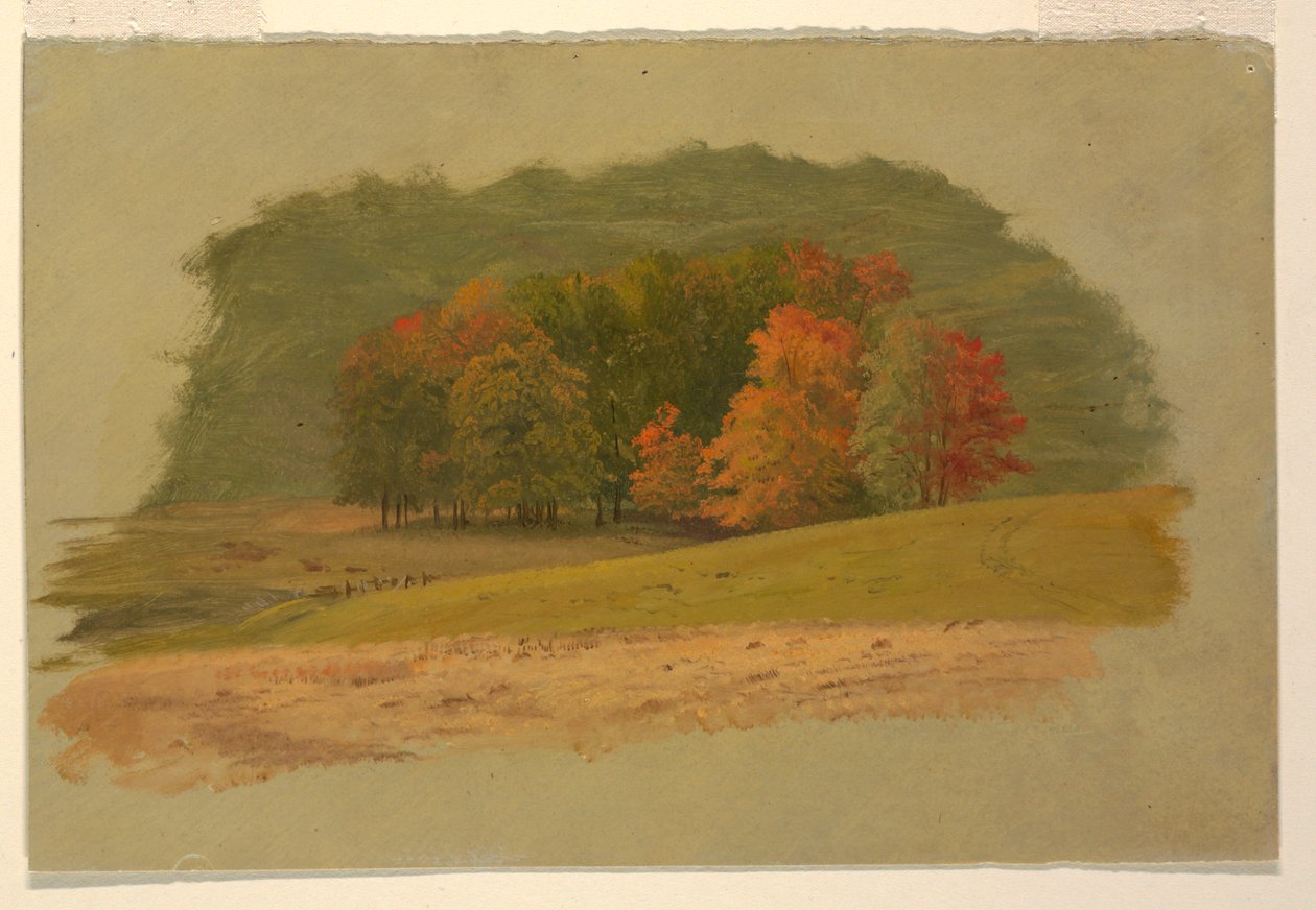 Podzimní krajina od Frederic Edwin Church