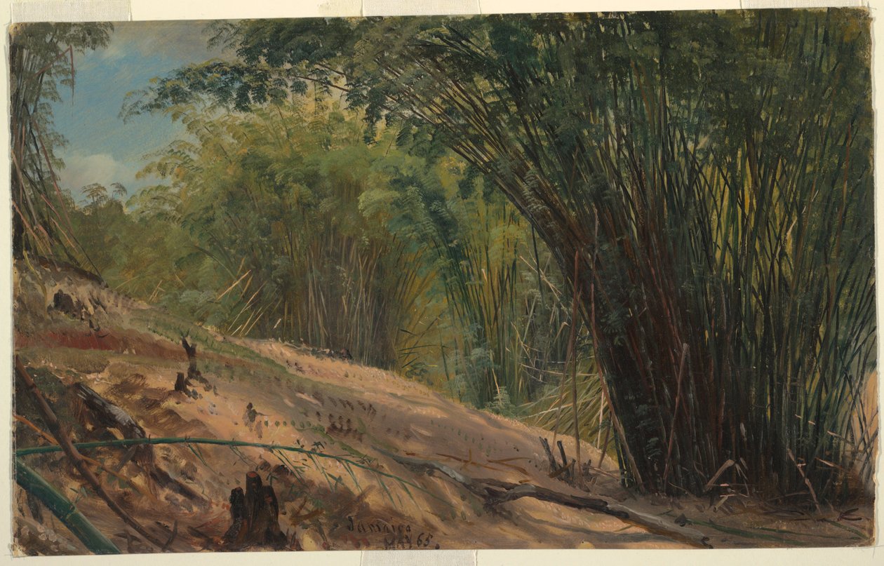 Bamboo Grove, Jamajka od Frederic Edwin Church