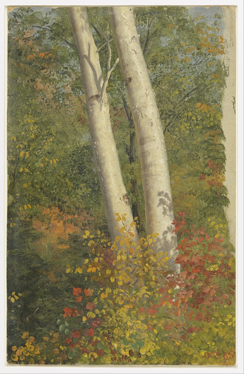 Břízy na podzim od Frederic Edwin Church