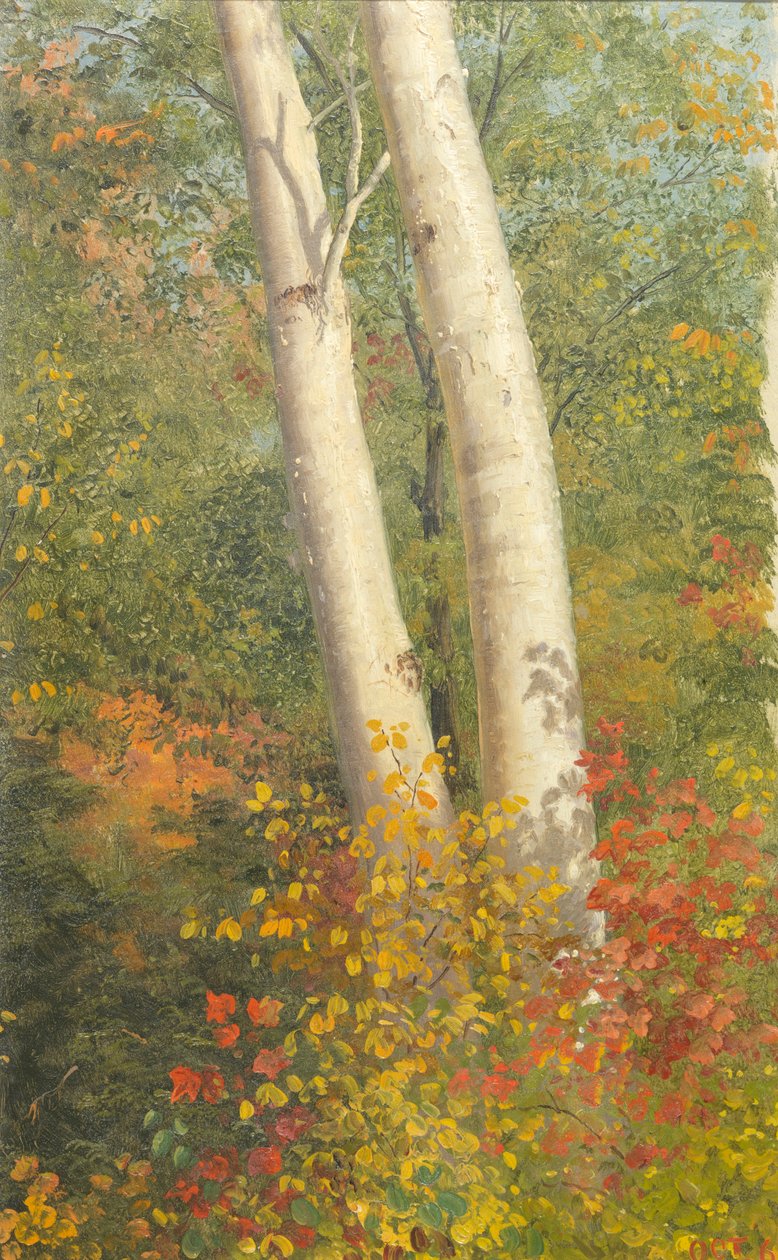 Břízy na podzim od Frederic Edwin Church