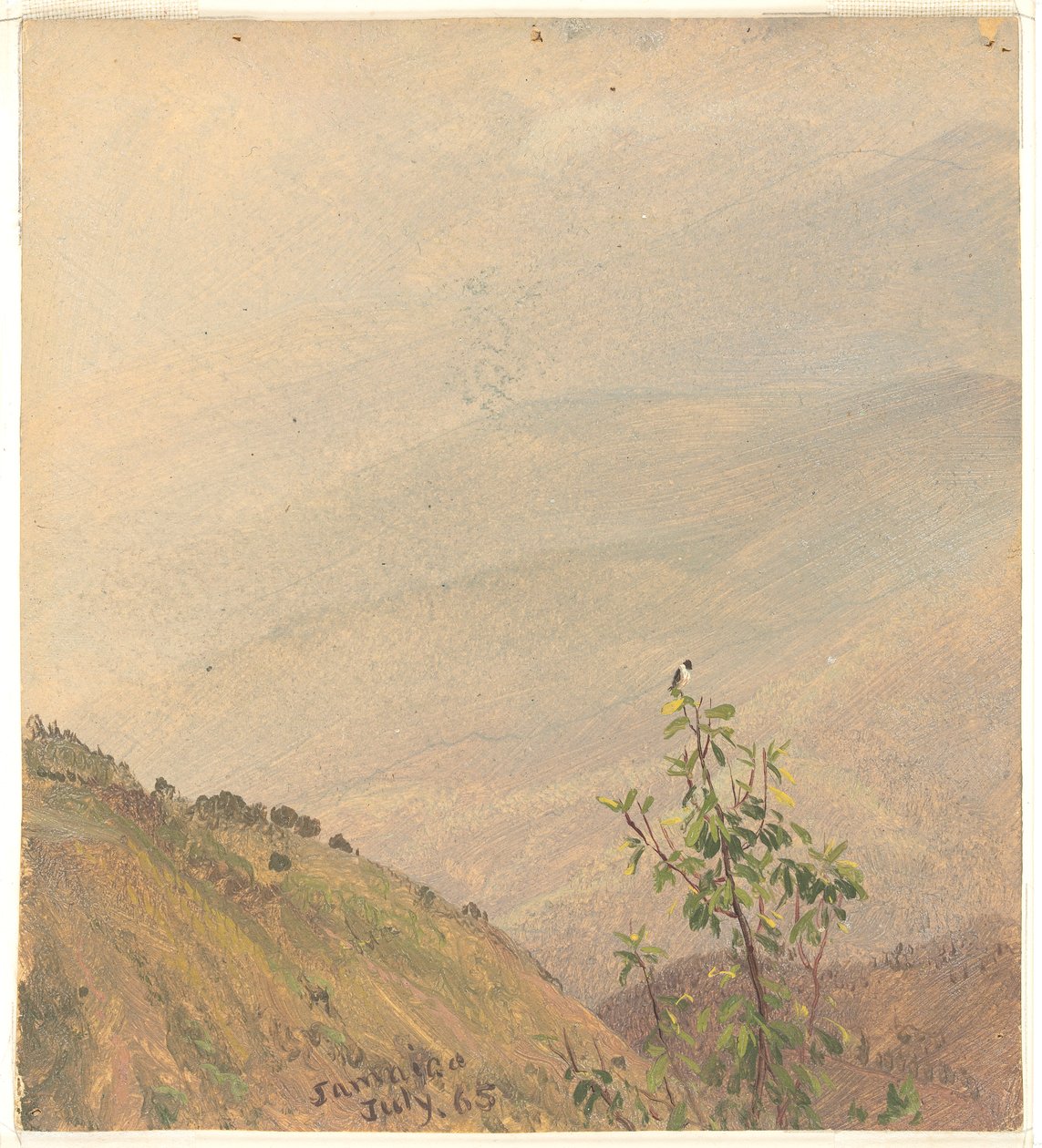 Vzdálené kopce, Jamajka od Frederic Edwin Church