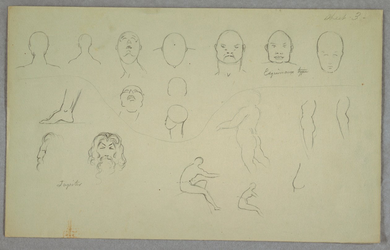 Kresba, anatomické studie, 1865-70 od Frederic Edwin Church