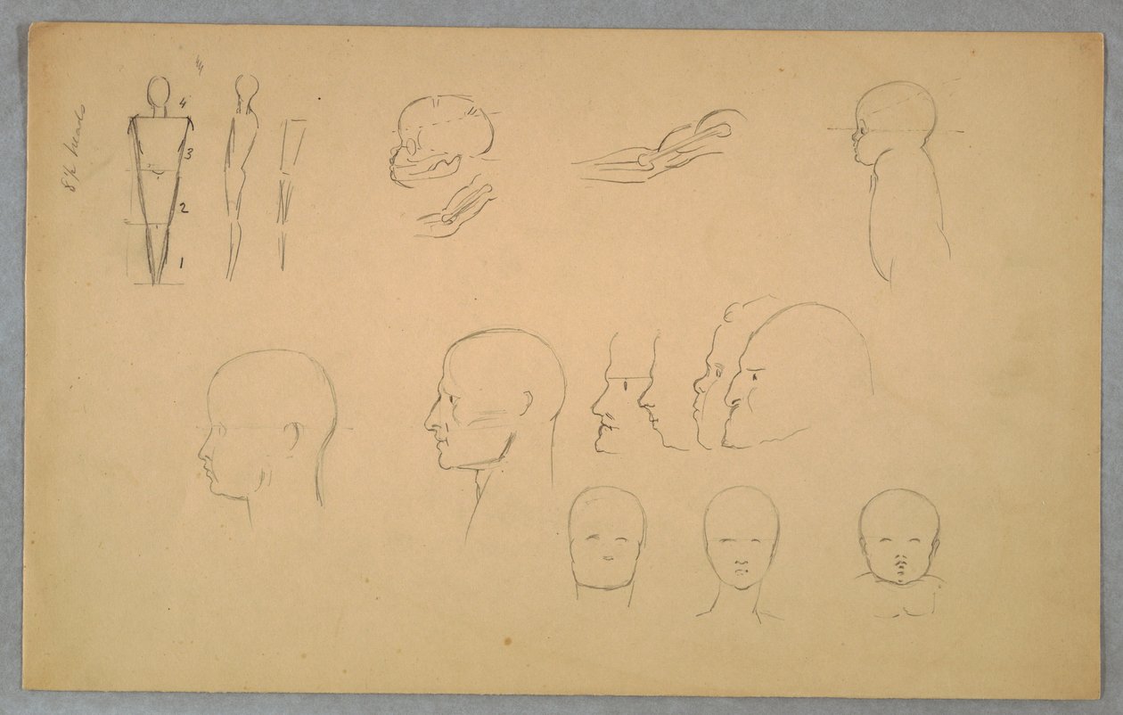 Kresba, anatomické studie, 1865-70 od Frederic Edwin Church