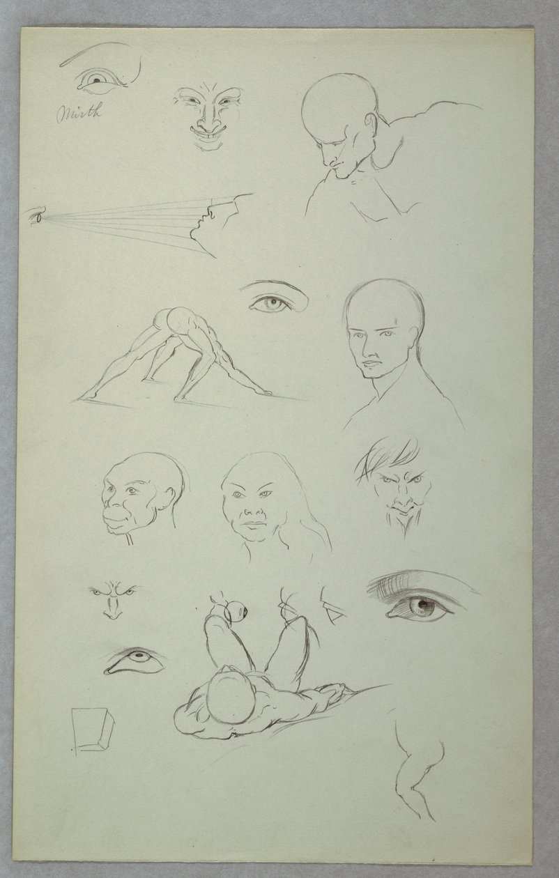 Kresba, anatomické studie, 1865-70 od Frederic Edwin Church