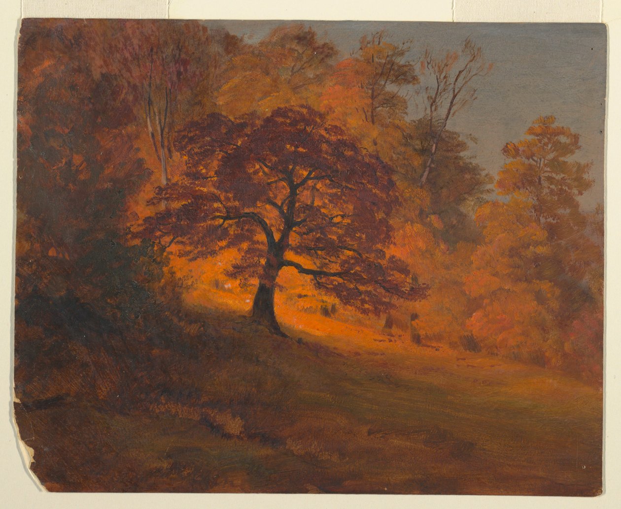 Kresba, Podzimní listí, 1867 od Frederic Edwin Church