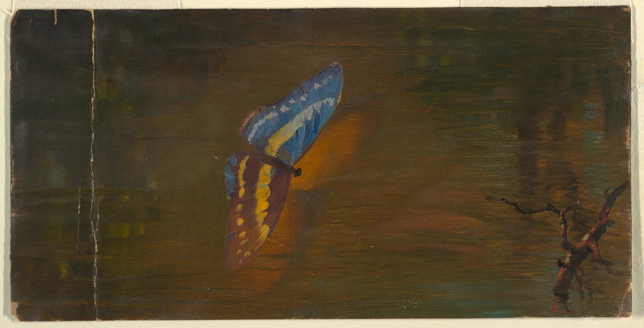 Kresba, Motýl nad vodou, asi 1865 od Frederic Edwin Church